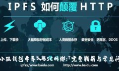 如何在小狐钱包中导入BSC网络: 完整指南与常见问