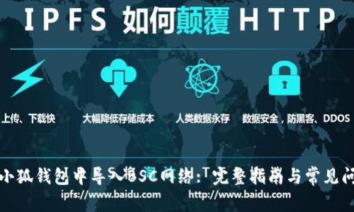 如何在小狐钱包中导入BSC网络: 完整指南与常见问题解答