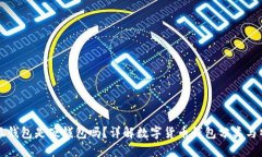 小狐钱包是硬钱包吗？详解数字货币钱包分类与