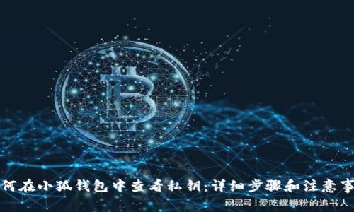 如何在小狐钱包中查看私钥：详细步骤和注意事项