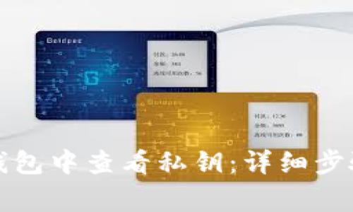 如何在小狐钱包中查看私钥：详细步骤和注意事项