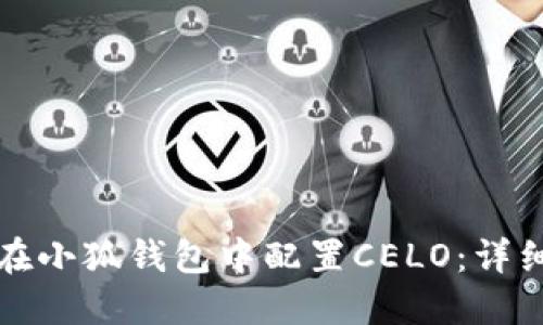 如何在小狐钱包中配置CELO：详细指南