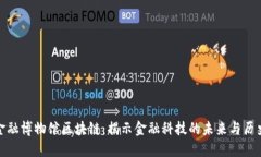 金融博物馆区块链：揭示金融科技的未来与历史