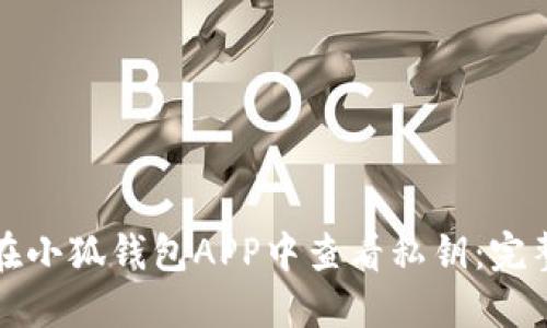 如何在小狐钱包APP中查看私钥：完整指南