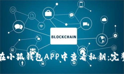 如何在小狐钱包APP中查看私钥：完整指南