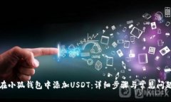 如何在小狐钱包中添加USDT：详细步骤与常见问题