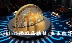 全方位解析Playblock游戏区块链：未来数字娱乐的