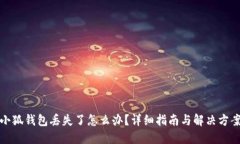 小狐钱包丢失了怎么办？详细指南与解决方案