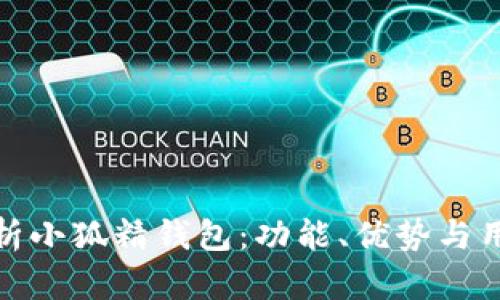 全面解析小狐精钱包：功能、优势与用户体验