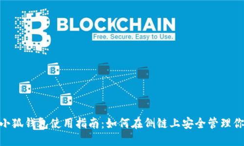 MetaMask小狐钱包使用指南：如何在侧链上安全管理你的数字资产