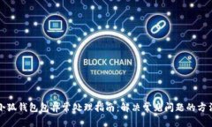 小狐钱包包异常处理指南：解决常见问题的方法