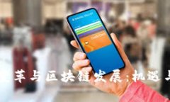 国家金融变革与区块链发展：机遇与挑战分析