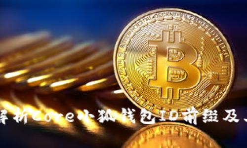 深度解析Core小狐钱包ID前缀及其应用