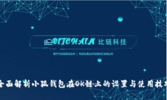 全面解析小狐钱包在OK链上的设置与使用技巧