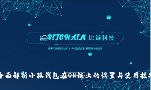 全面解析小狐钱包在OK链上的设置与使用技巧