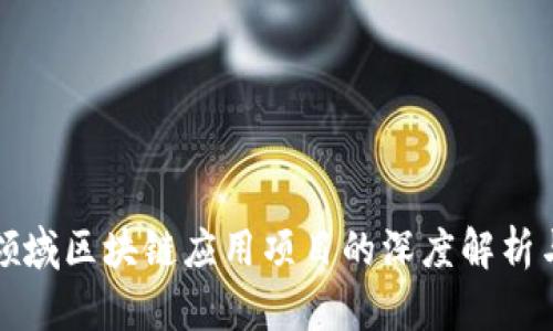 金融领域区块链应用项目的深度解析与展望