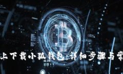 如何在电脑上下载小狐钱包：详细步骤与常见问