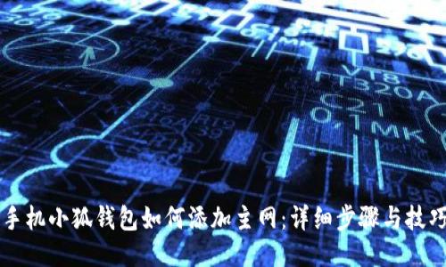 手机小狐钱包如何添加主网：详细步骤与技巧
