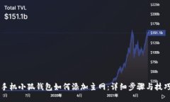 手机小狐钱包如何添加主网：详细步骤与技巧