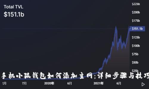 手机小狐钱包如何添加主网:详细步骤与技巧
