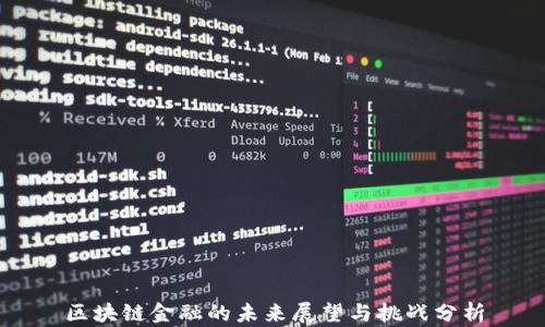 
区块链金融的未来展望与挑战分析