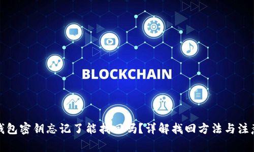 小狐钱包密钥忘记了能找回吗？详解找回方法与注意事项