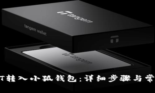 如何将USDT转入小狐钱包：详细步骤与常见问题解析