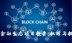 区块链金融生态项目投资：机遇与挑战解析