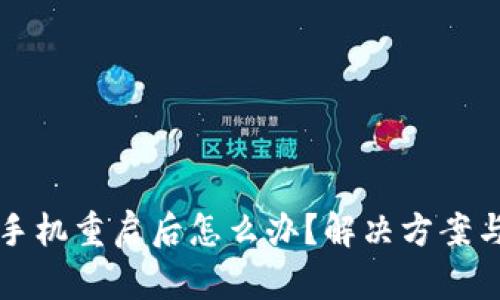 小狐钱包手机重启后怎么办？解决方案与操作指南