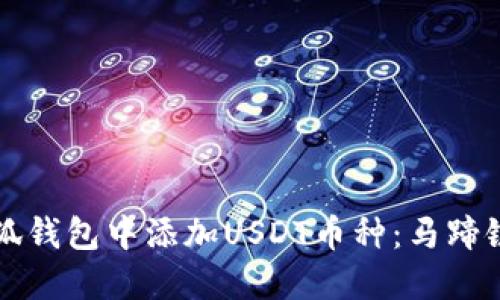 如何在小狐钱包中添加USDT币种：马蹄链操作指南