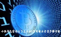 小狐钱包密码忘了怎么办？实用解决方案步骤详