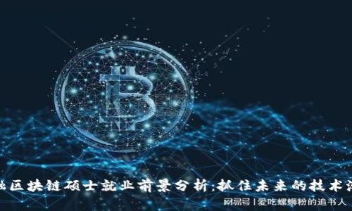 金融区块链硕士就业前景分析：抓住未来的技术潮流