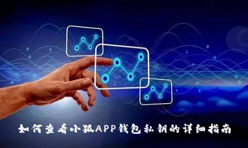 如何查看小狐APP钱包私钥的详细指南