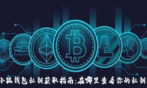  
小狐钱包私钥获取指南：在哪里查看你的私钥？