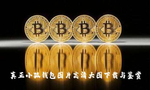 真正小狐钱包图片高清大图下载与鉴赏