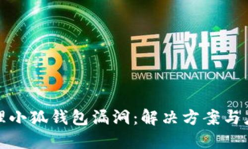 如何处理小狐钱包漏洞：解决方案与应对策略