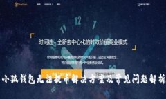 小狐钱包无法提币解决方案及常见问题解析