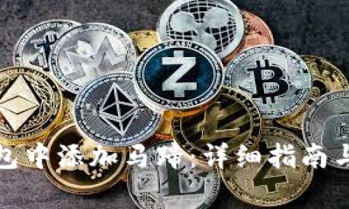 如何在小狐钱包中添加马蹄：详细指南与常见问题解答