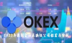 2023年最新金融区块链公司推荐与分析