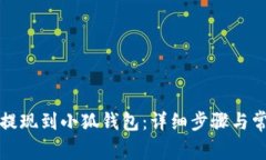 如何将资金提现到小狐钱包：详细步骤与常见问