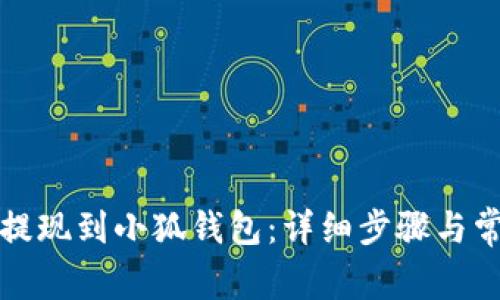如何将资金提现到小狐钱包：详细步骤与常见问题解答
