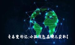 青春变形记：小狐钱包在哪儿获取？