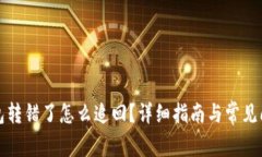 小狐钱包转错了怎么追回？详细指南与常见问题