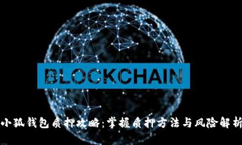小狐钱包质押攻略：掌握质押方法与风险解析