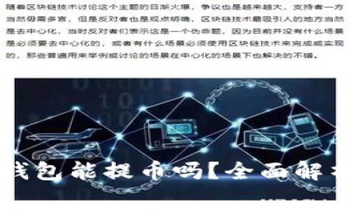 中本聪小狐钱包能提币吗？全面解析与使用指南
