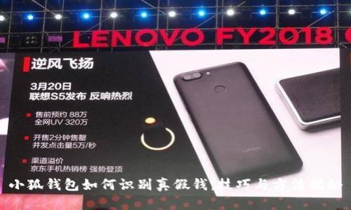 小狐钱包如何识别真假钱：技巧与方法揭秘