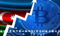 : 为什么无法下载小狐钱包？常见问题与解决方案