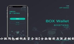 小狐钱包赚钱是否合法？全面解析与深度剖析