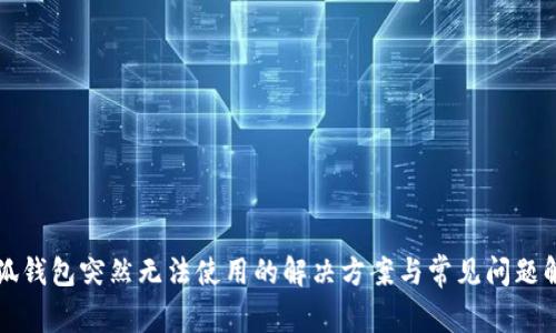 小狐钱包突然无法使用的解决方案与常见问题解析