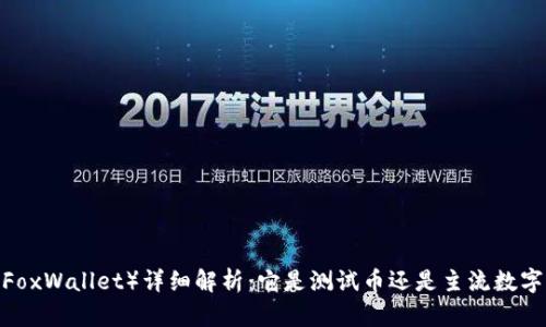 小狐钱包（FoxWallet）详细解析：它是测试币还是主流数字货币钱包？